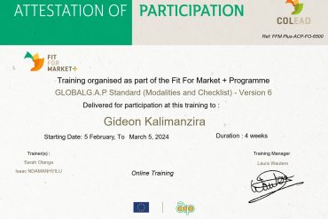 Fit For Market Certificate